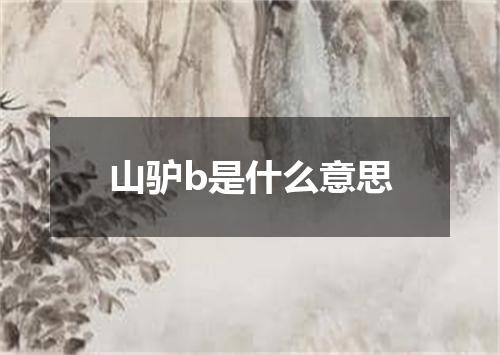 山驴b是什么意思