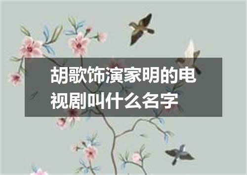 胡歌饰演家明的电视剧叫什么名字