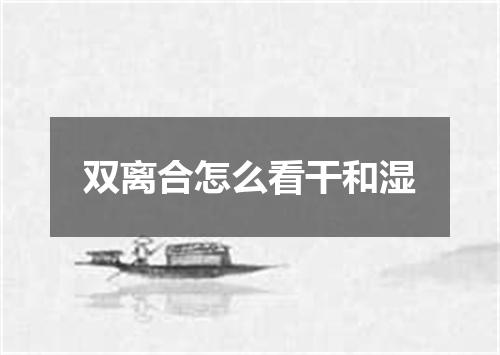 双离合怎么看干和湿
