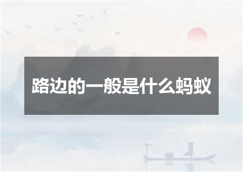 路边的一般是什么蚂蚁