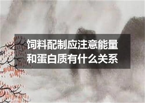 饲料配制应注意能量和蛋白质有什么关系