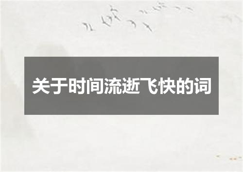 关于时间流逝飞快的词