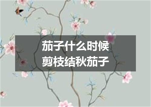 茄子什么时候剪枝结秋茄子