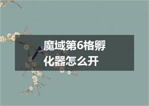 魔域第6格孵化器怎么开