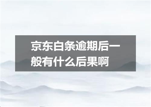 京东白条逾期后一般有什么后果啊