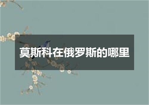 莫斯科在俄罗斯的哪里