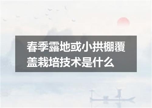 春季露地或小拱棚覆盖栽培技术是什么