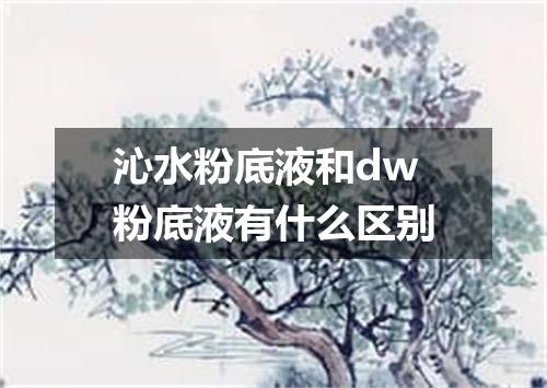 沁水粉底液和dw粉底液有什么区别