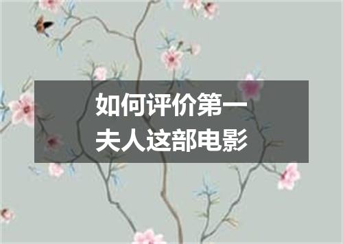 如何评价第一夫人这部电影