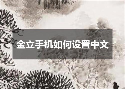 金立手机如何设置中文