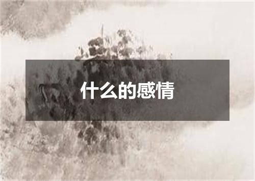 什么的感情