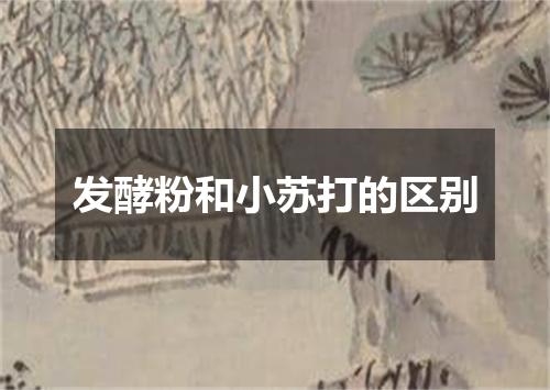 发酵粉和小苏打的区别