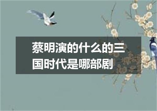 蔡明演的什么的三国时代是哪部剧