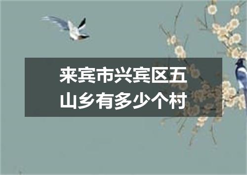 来宾市兴宾区五山乡有多少个村