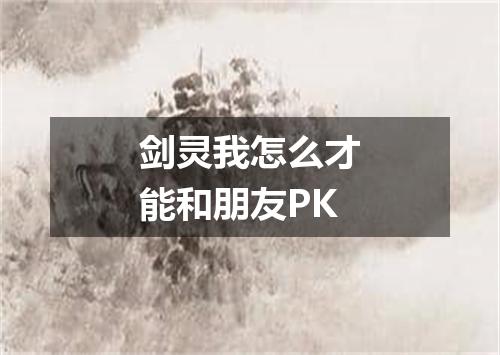 剑灵我怎么才能和朋友PK