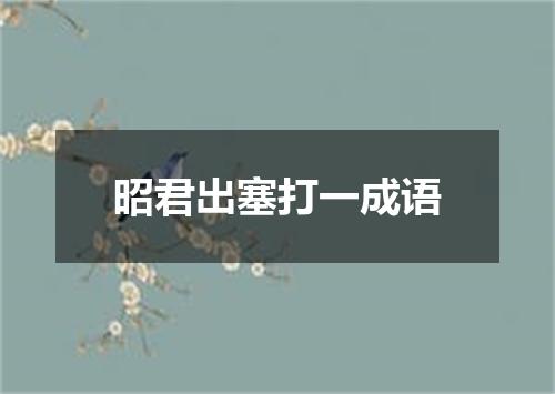 昭君出塞打一成语