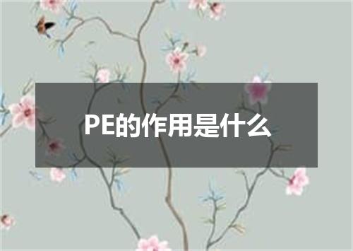 PE的作用是什么