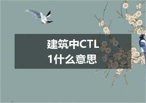 建筑中CTL1什么意思
