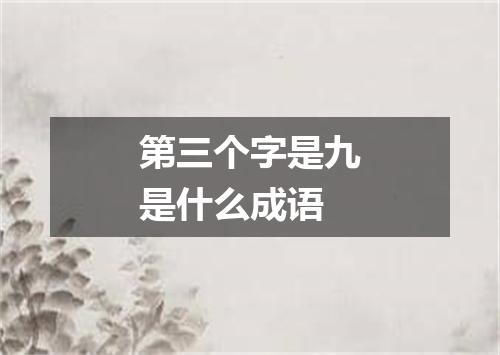 第三个字是九是什么成语