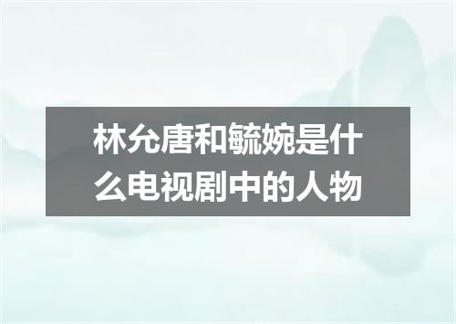 林允唐和毓婉是什么电视剧中的人物