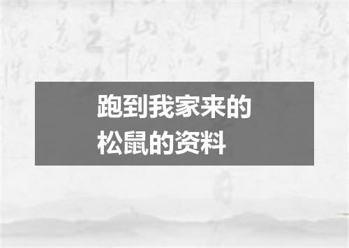 跑到我家来的松鼠的资料
