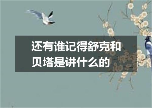 还有谁记得舒克和贝塔是讲什么的