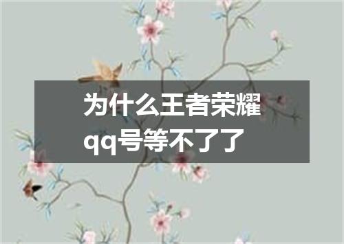 为什么王者荣耀qq号等不了了