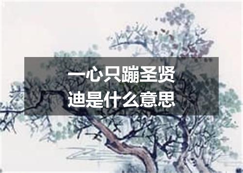 一心只蹦圣贤迪是什么意思