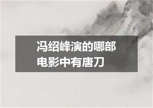 冯绍峰演的哪部电影中有唐刀