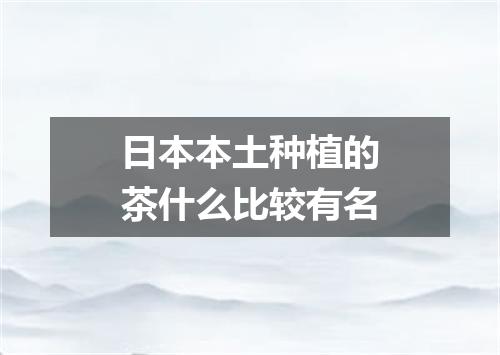 日本本土种植的茶什么比较有名