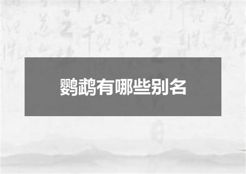 鹦鹉有哪些别名