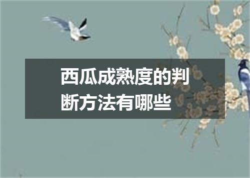 西瓜成熟度的判断方法有哪些