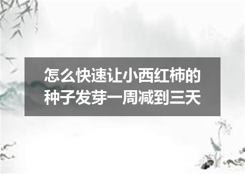 怎么快速让小西红柿的种子发芽一周减到三天