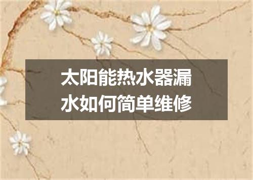 太阳能热水器漏水如何简单维修