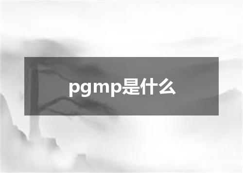 pgmp是什么