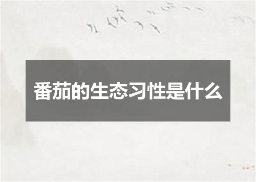 番茄的生态习性是什么