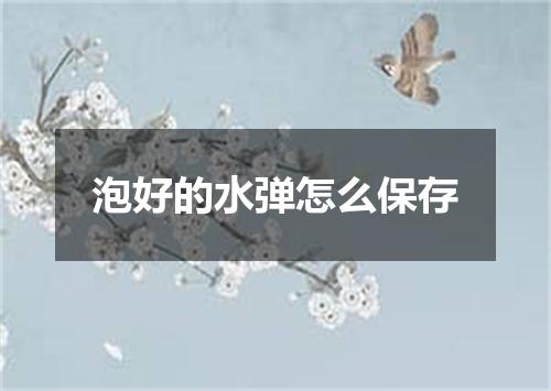 泡好的水弹怎么保存