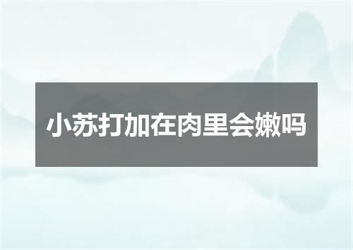 小苏打加在肉里会嫩吗