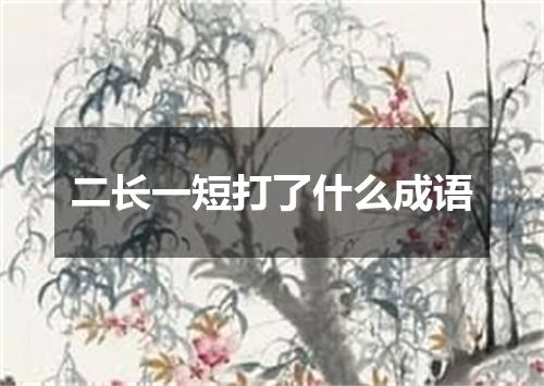 二长一短打了什么成语