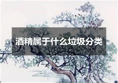 酒精属于什么垃圾分类