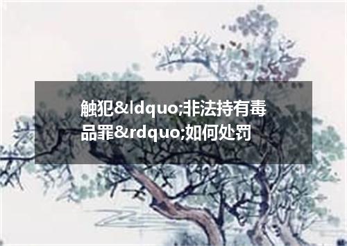 触犯&ldquo;非法持有毒品罪&rdquo;如何处罚