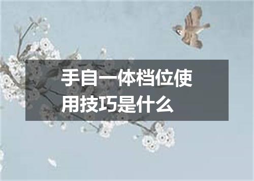 手自一体档位使用技巧是什么