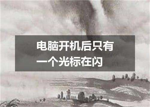 电脑开机后只有一个光标在闪