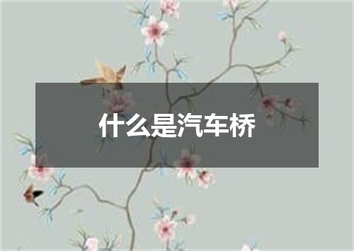什么是汽车桥
