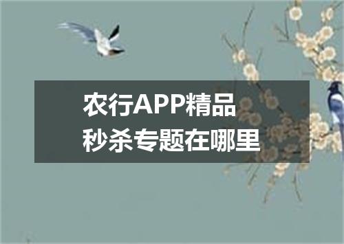 农行APP精品秒杀专题在哪里