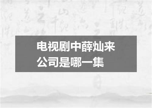 电视剧中薛灿来公司是哪一集