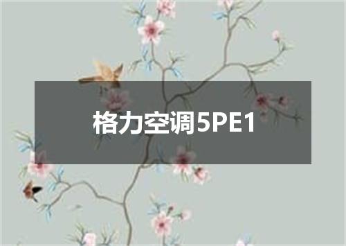 格力空调5PE1
