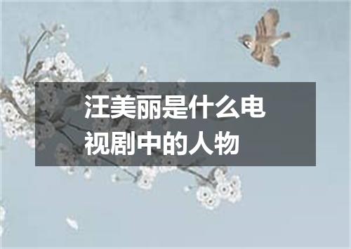 汪美丽是什么电视剧中的人物