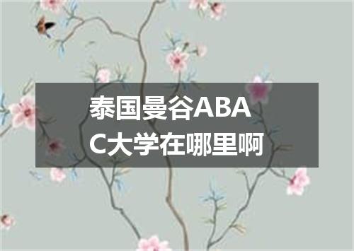 泰国曼谷ABAC大学在哪里啊