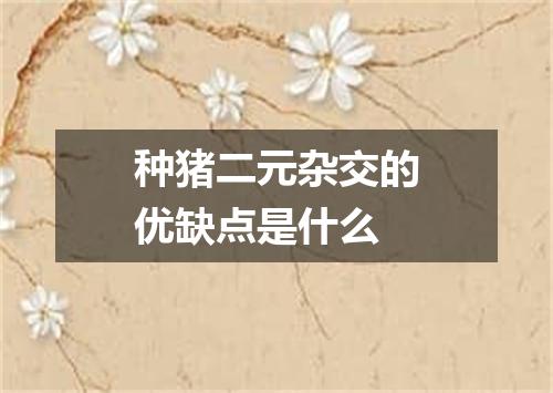 种猪二元杂交的优缺点是什么